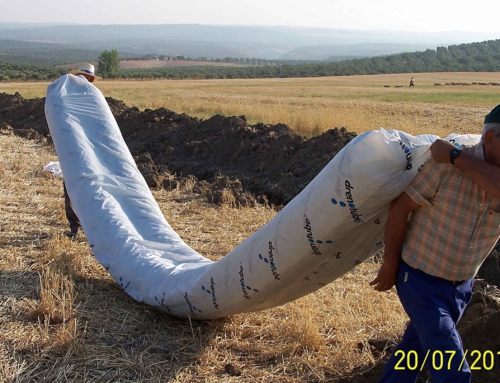 Drainage Vignoble Sabiote